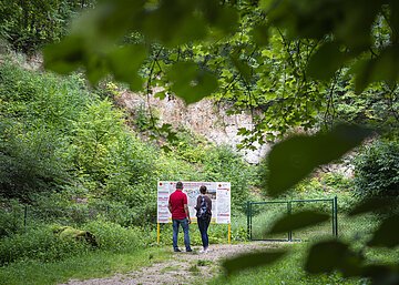 Steinbruch am Geopark Ries Sagenweg 2 Menschen stehen vor der Geopark Ries Tafel des Steinbruchs am Sagenweg bei Wemding.