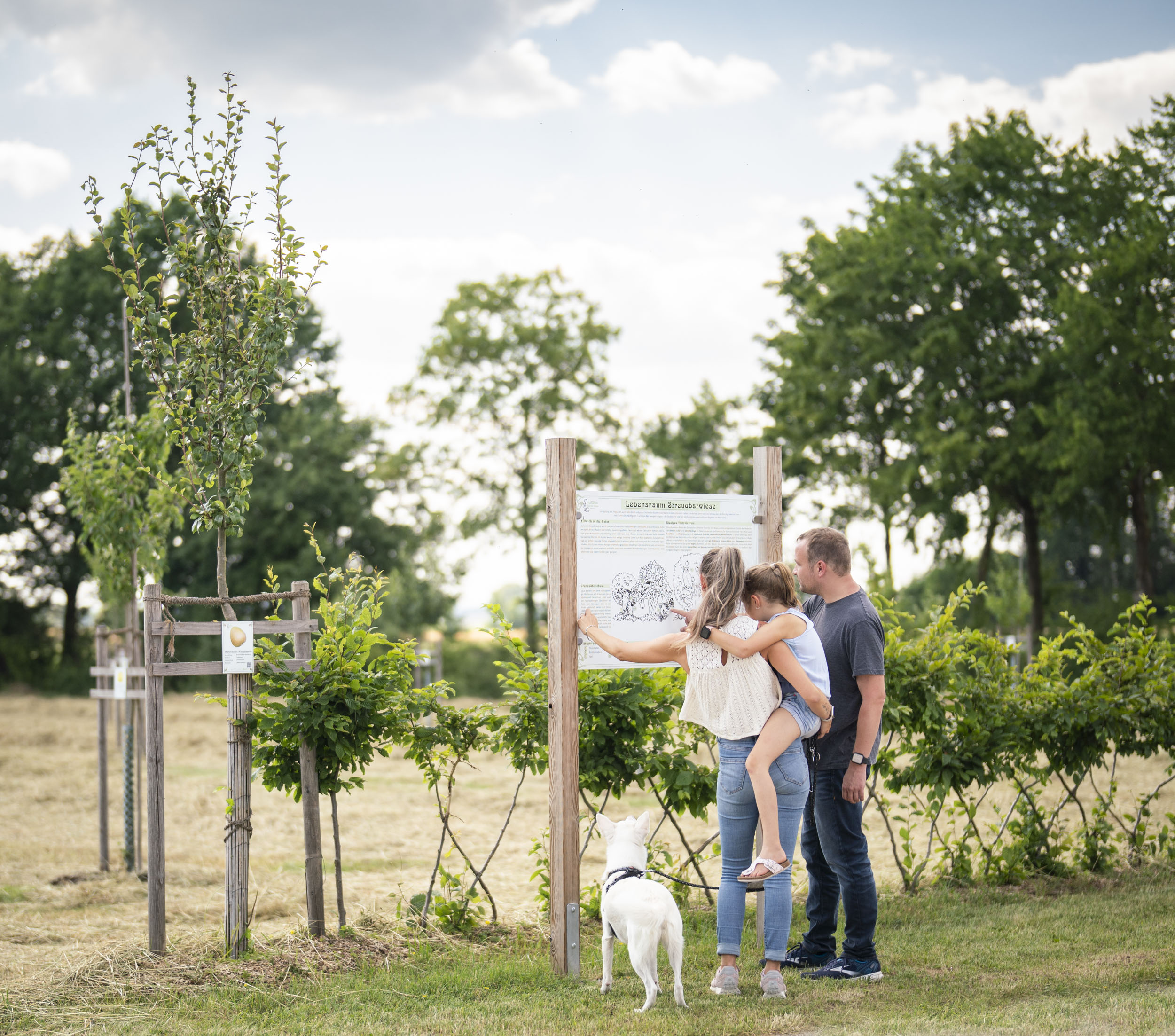 Öffentliche Führung durch den Obstlehrgarten "Schäbles Kleinod"