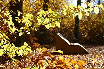 Waldbaden Wemding