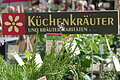 Fuchsienmarkt Wemding