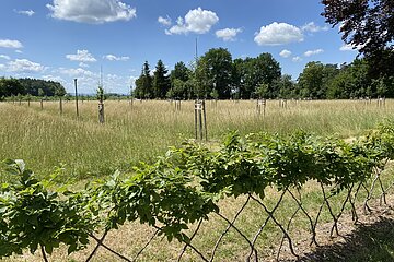 Botanischer Obstlehrgarten Donau-Ries