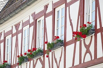 Fassade Schlecht in der Langgasse Wemding