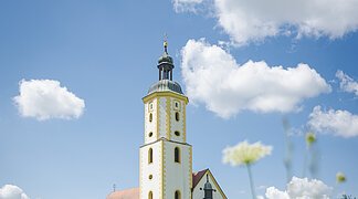 Blick auf die im Sonnenschein liegende Wallfahrtsbasilika Maria Brünnlein. Im Vordergrund eine blühende Wiese.