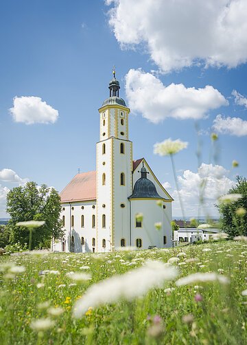 Wallfahrtsbasilika Maria Brünnlein, Wemding Blick auf die im Sonnenschein liegende Wallfahrtsbasilika Maria Brünnlein. Im Vordergrund eine blühende Wiese.
