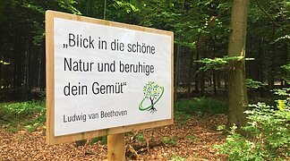 Ein Schild mit einem Spruch steht im Wald.