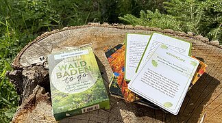 Eine Schachtel mit Anleitungen zum Waldbaden liegt auf einem Baumstumpf.