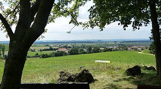 Der Aussichtspunkt vom Wald aus