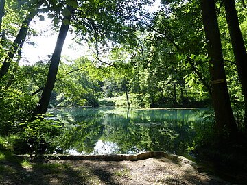 Doosweiher Wemding Der idyllische Dossweiher
