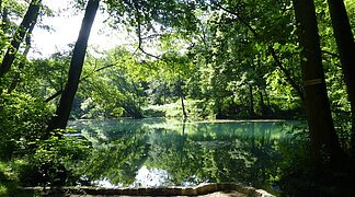 Der idyllische Dossweiher