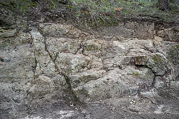 Der Suevitsteinbruch im schatten