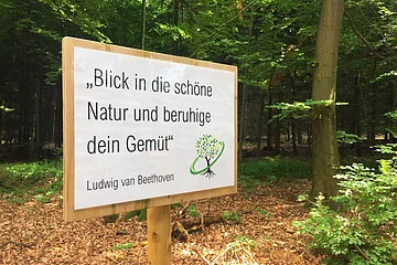 Ein Schild mit einem Spruch steht im Wald.