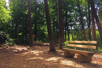 Ein idyllischer Platz im Wald mit einer Bank.