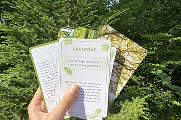 Eine Hand hält ein Kartenset zum Waldbaden in den Wald.
