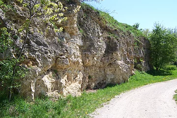 Blick auf das Gestein am Bürschel in Hainsfarth
