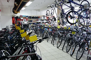 Die Fahrräder im Fahrrad Meyr