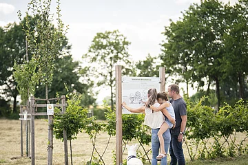 Eine Familie steht an einer Informationstafel im botanischen Obstlehrgarten.