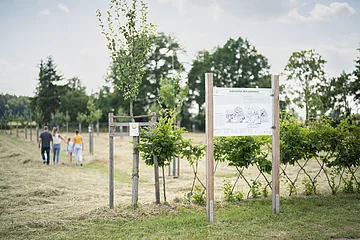 Eine Familie macht im botanischen Obstlehrgarten einen Spaziergang.