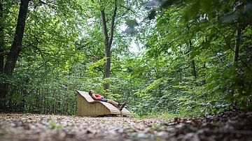 Waldbaden Eine Frau liegt bei einem Waldbaden-Ruheplatz auf einer Liege im Wald.