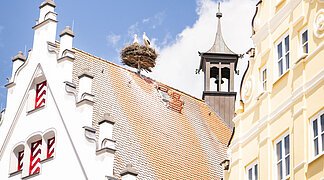 Das Storchennest auf dem historischen Rathaus an einem sonnigen Tag.