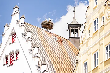 Das Storchennest auf dem historischen Rathaus an einem sonnigen Tag.