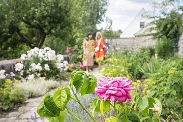 Zwei Freundinnen laufen im Rosengarten.