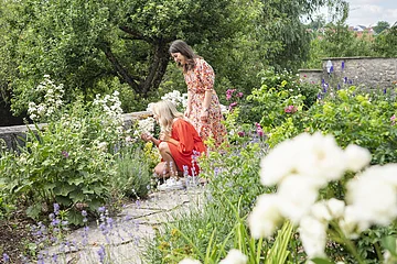 Im Rosengarten schauen sich zwei Freundinnen eine bestimmte Rosensorte genauer an.