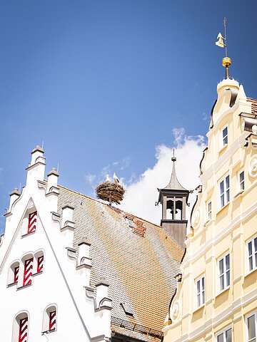 Das Storchennest auf dem historischen Rathaus an einem sonnigen Tag.