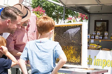 Drei Personen betrachten einen Honigwaben vom Bienenzuchtverein auf dem Wochenmarkt in Wemding.