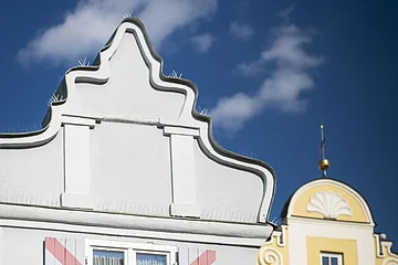 Blick von außen auf das Geburtshaus von Leonhart Fuchs, der Namensgeber der Fuchsie.