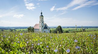 Wallfahrtsbasilika Maria Brünnlein mit einer blühenden Wiese im Vordergrund.