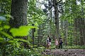 Eine Familie läuft am Walderlebnispfad.