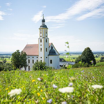 Sommerlicher Blick auf die Wallfahrtsbasilika Maria Brünnlein mit einer blühenden Wiese im Vordergrund.