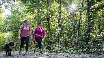 Zwei Freundinnen gehen mit ihrem Hund im Wald spazieren.