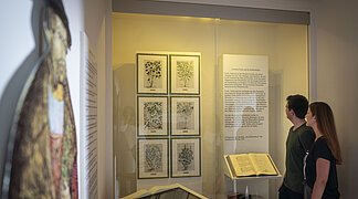 Ein Paar betrachtet die Ausstellung in der Geopark-Infostelle.