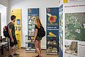 Ein Paar betrachtet die ausgestellten Gegenstände in der Geopark-Infostelle.