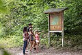 Eine Familie steht vor der Starttafel im Walderlebnispfad und informiert sich.
