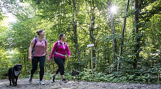 Zwei Freundinnen gehen mit ihrem Hund im Wald spazieren.