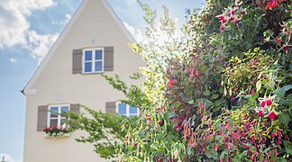 Blick auf die Fuchsienpyramide und das Verwaltungsgebäude.