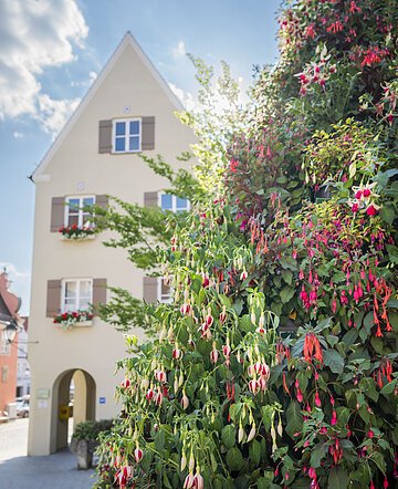 Blick auf die Fuchsienpyramide und das Verwaltungsgebäude.