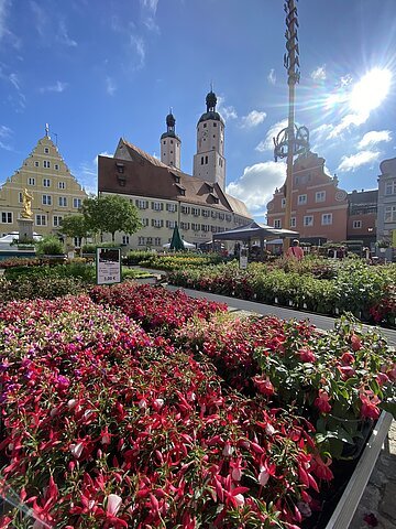 Fuchsienmarkt Wemding