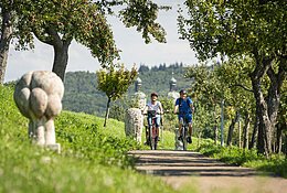 Zwei Radfahrer fahren entlang dem Andachtsweg.