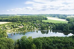 Waldsee von oben.