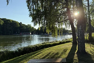 Abendblick mit Sonneneinstrahlung am Ufer des Waldsees