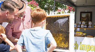 Drei Personen betrachten einen Honigwaben vom Bienenzuchtverein auf dem Wochenmarkt in Wemding.