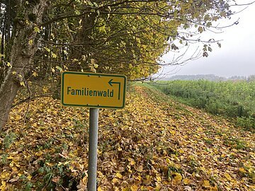 Familienwald Wemding