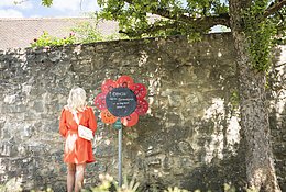 Eine Frau macht einen Spaziergang im Stadtgraben. Hier bleibt sie an einer Blume stehen und liest den Spruch durch.