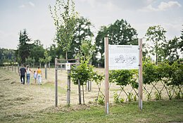 Eine Familie macht im botanischen Obstlehrgarten einen Spaziergang.