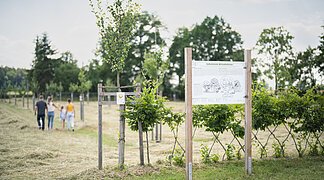 Spaziergang im Obstlehrgarten Eine Familie macht im botanischen Obstlehrgarten einen Spaziergang.