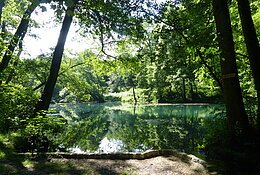 Der idyllische Dossweiher