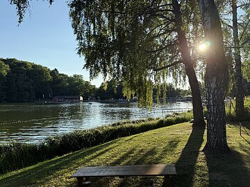 Abendblick mit Sonneneinstrahlung am Ufer des Waldsees